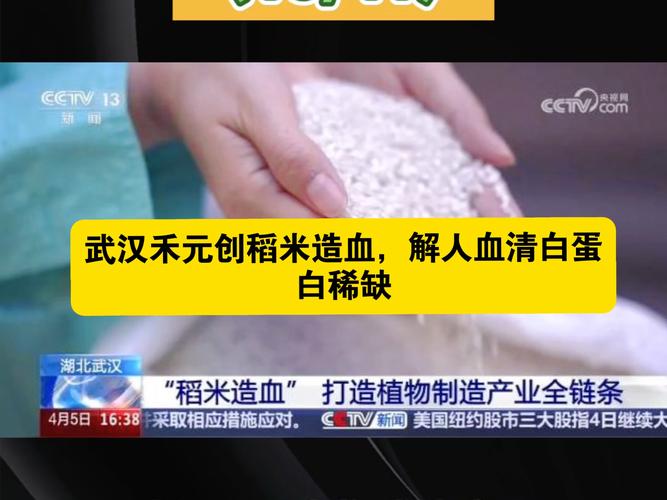 禾元生物稻米造血,人血清白蛋白不再奇缺