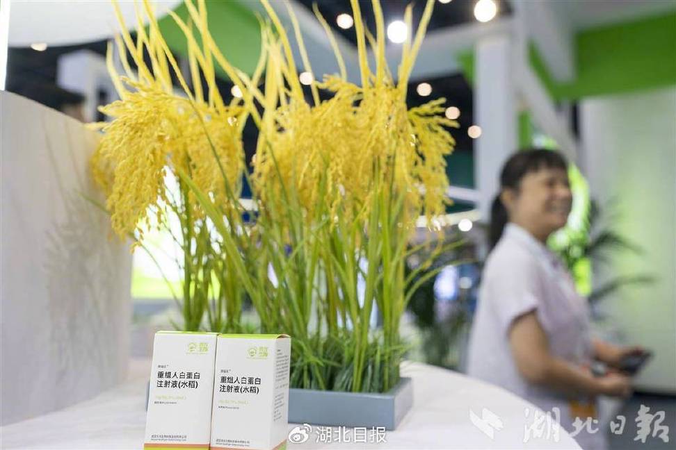 湖北六大未来产业全面起势:从量子科技到6g应用,抢占下一个五年