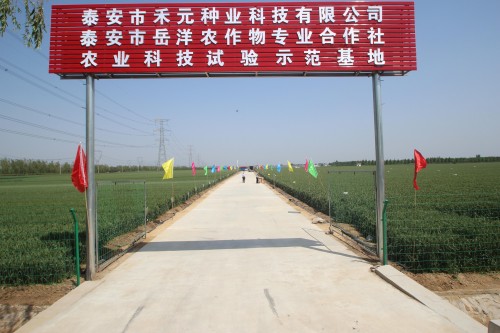 泰安市"万企兴万村"优秀案例(四): 泰安市禾元农业科技quot;三化协同"赋能乡村振兴项目